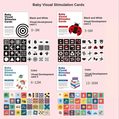 Mini Me First Glance Visual Stimulation Flashcards - 4 Options